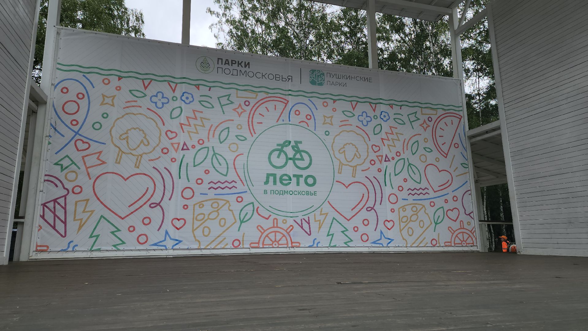 Пушкино, спорт, парки Подмосковья, MMA, дзюдо