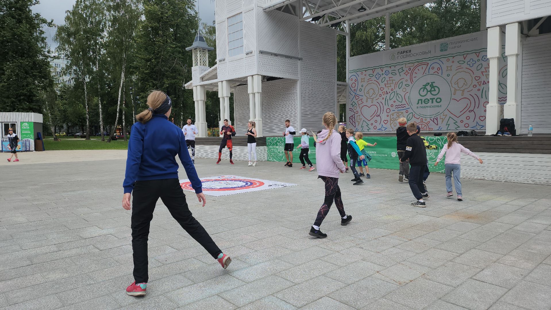 Пушкино, спорт, парки Подмосковья, MMA, дзюдо