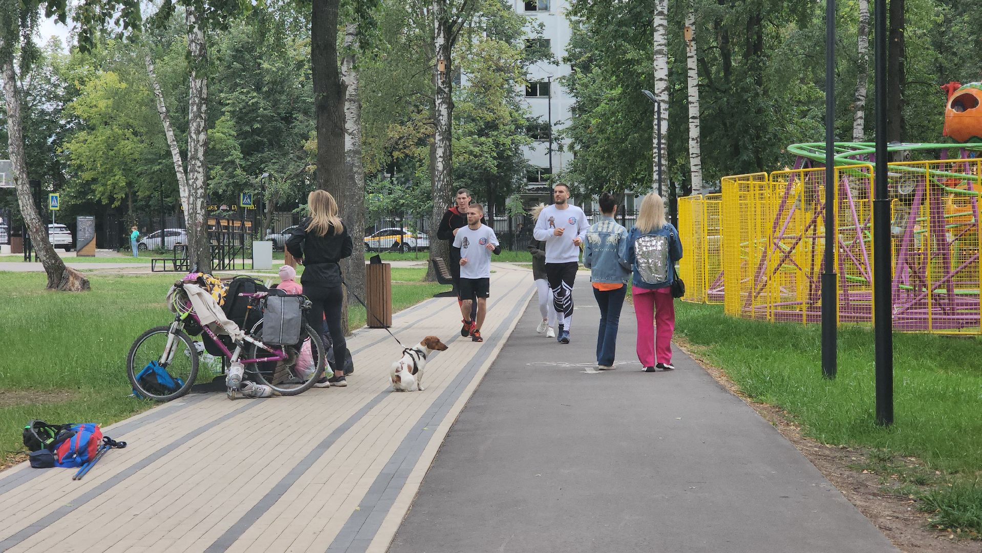Пушкино, спорт, парки Подмосковья, MMA, дзюдо