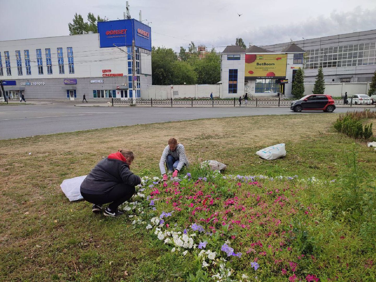 Подольск, клумбы, школьники, цветы, трудовые бригады, благоустройство