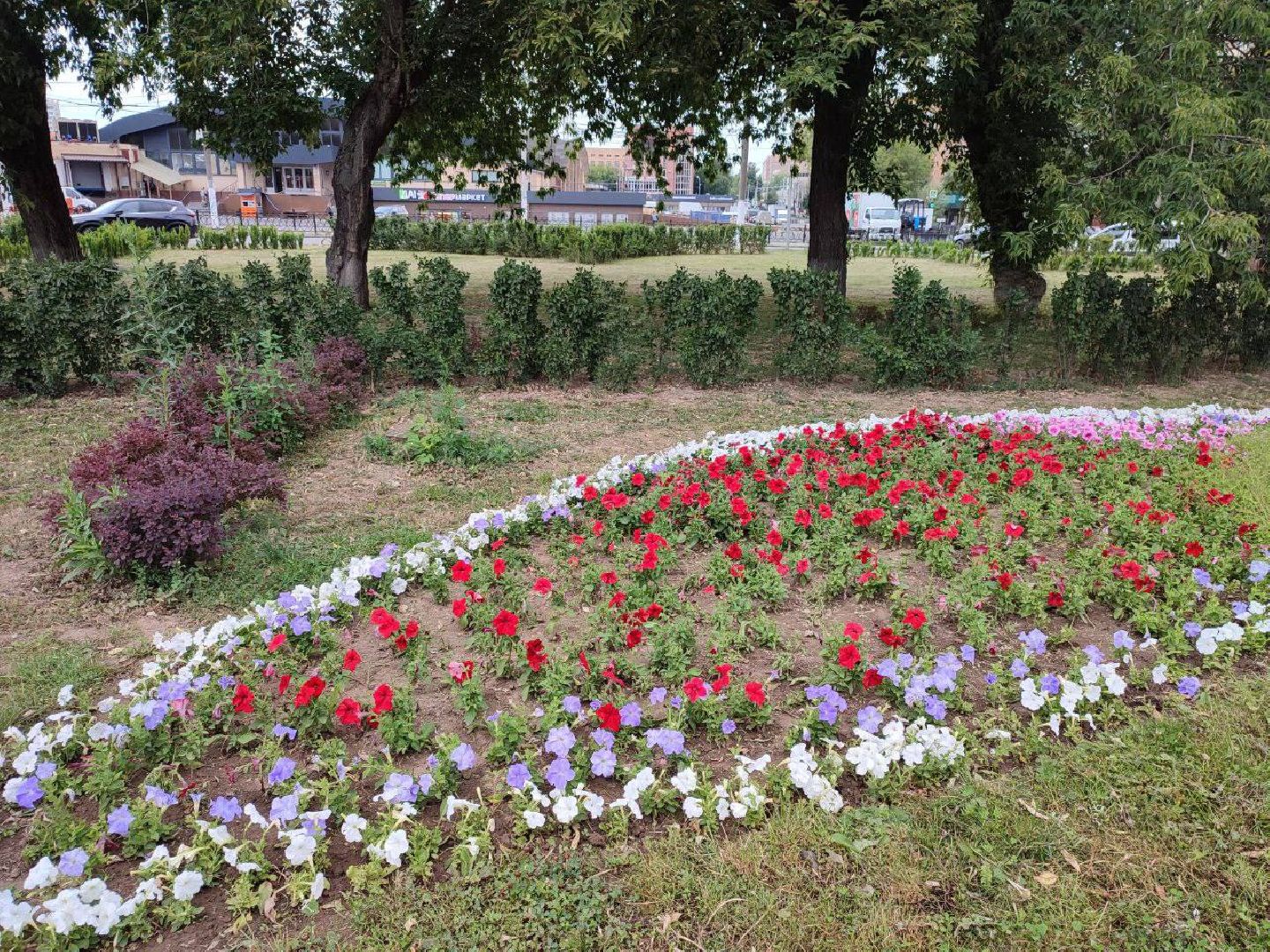 Подольск, клумбы, школьники, цветы, трудовые бригады, благоустройство