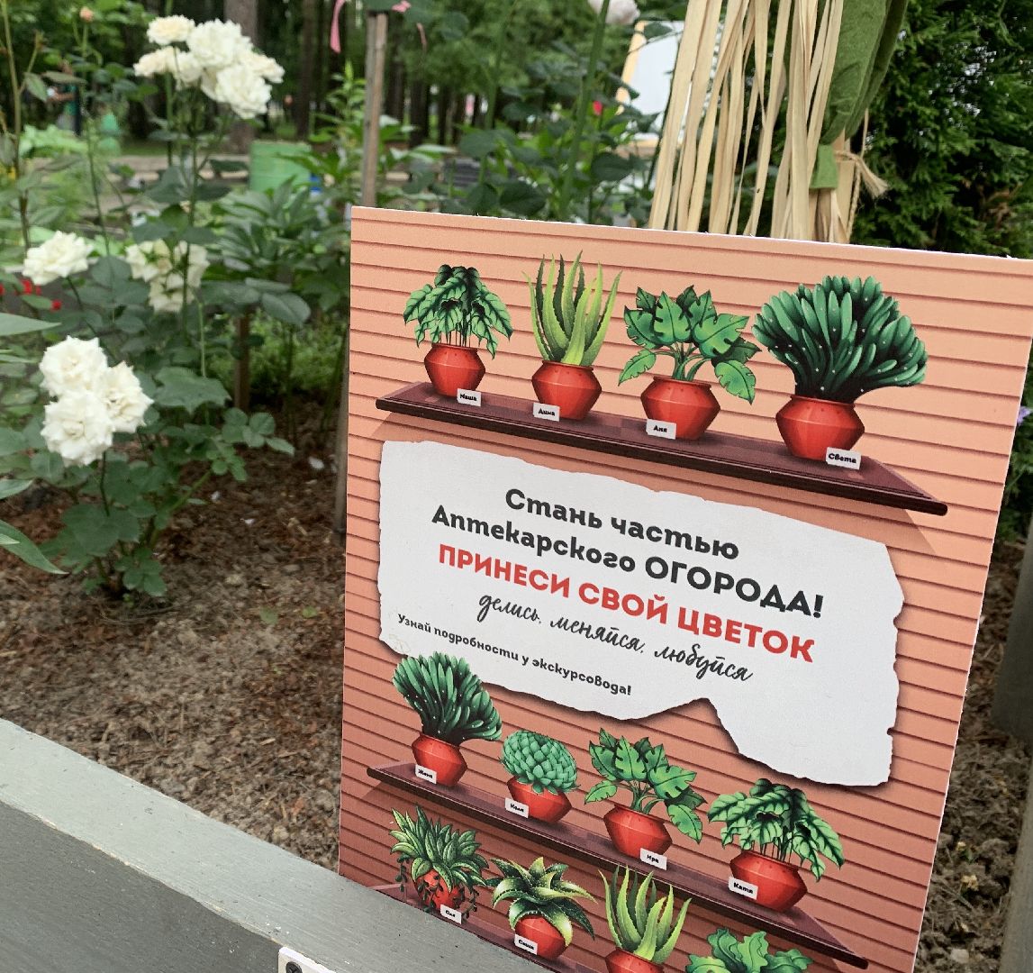 Балашиха, Подмосковье, парки, Аптекарский огород, акции