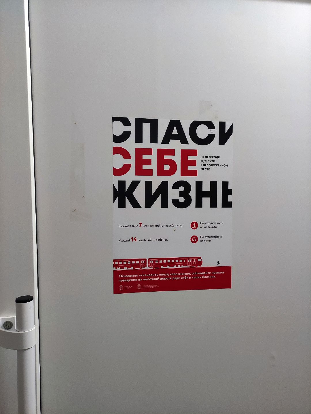 Солнечногорск, общество