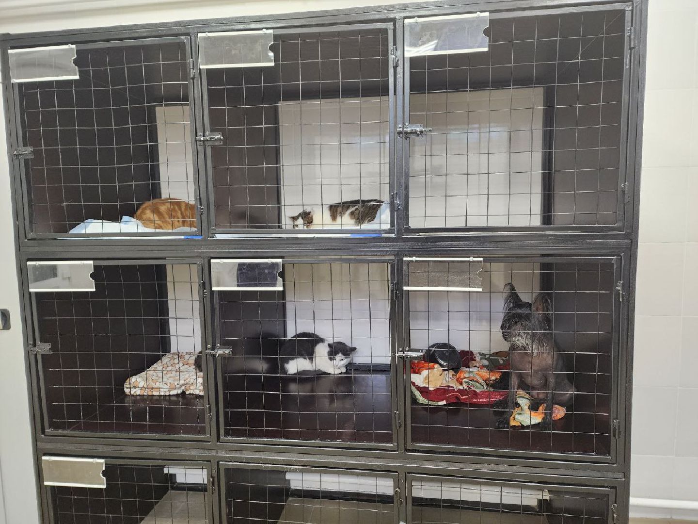 Дмитров, Ветеринарная станция, Минсельхоз МО