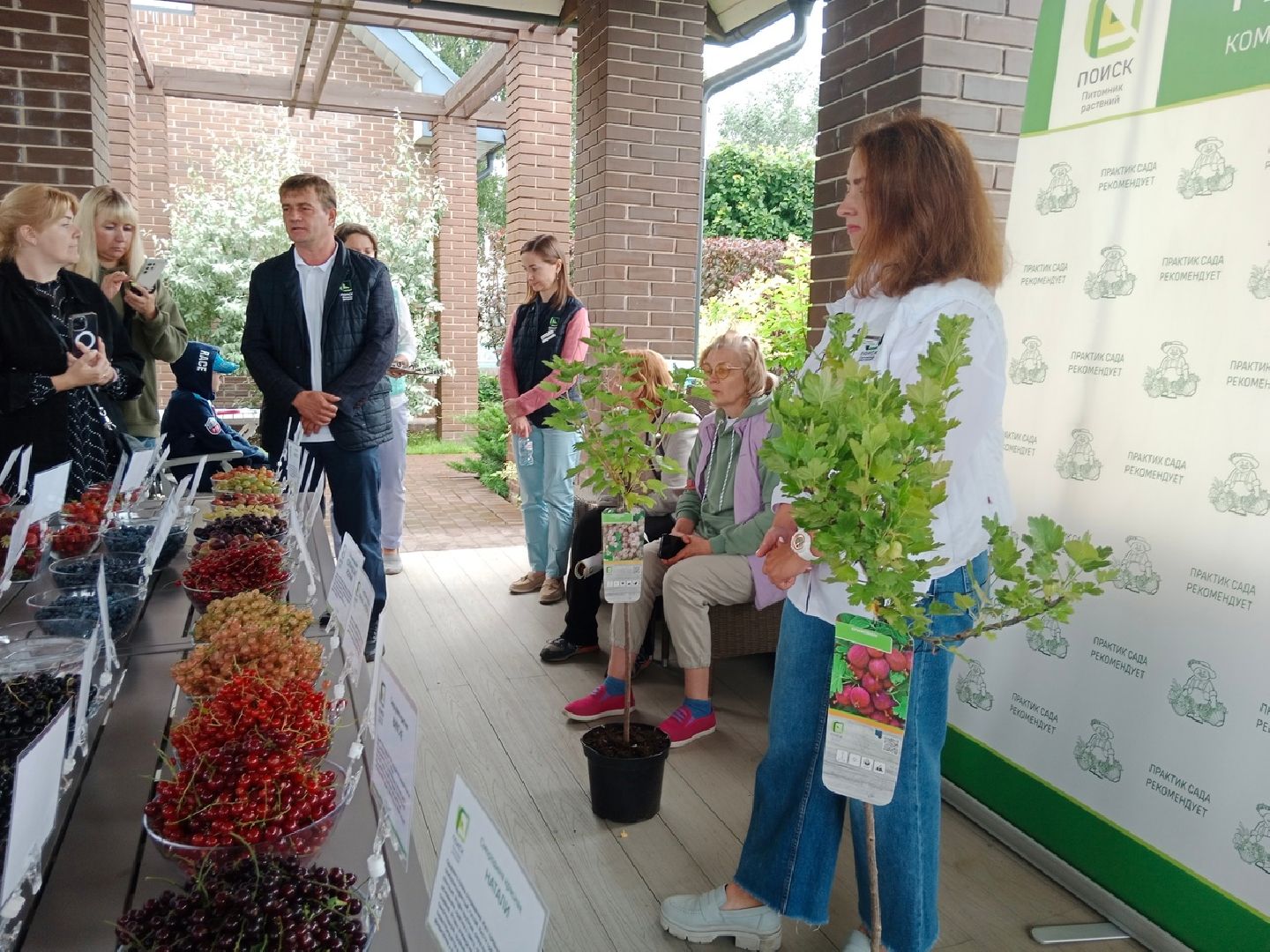 агрофирма, Поиск, дегустация, сортов, ягодных, культур, селекция, Город-сад