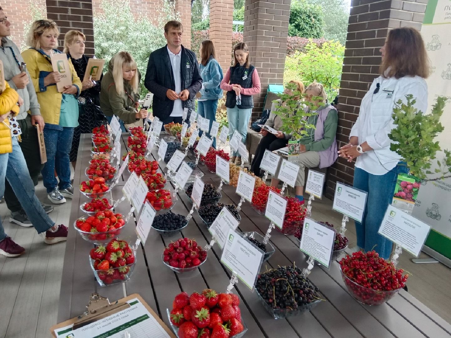 агрофирма, Поиск, дегустация, сортов, ягодных, культур, селекция, Город-сад