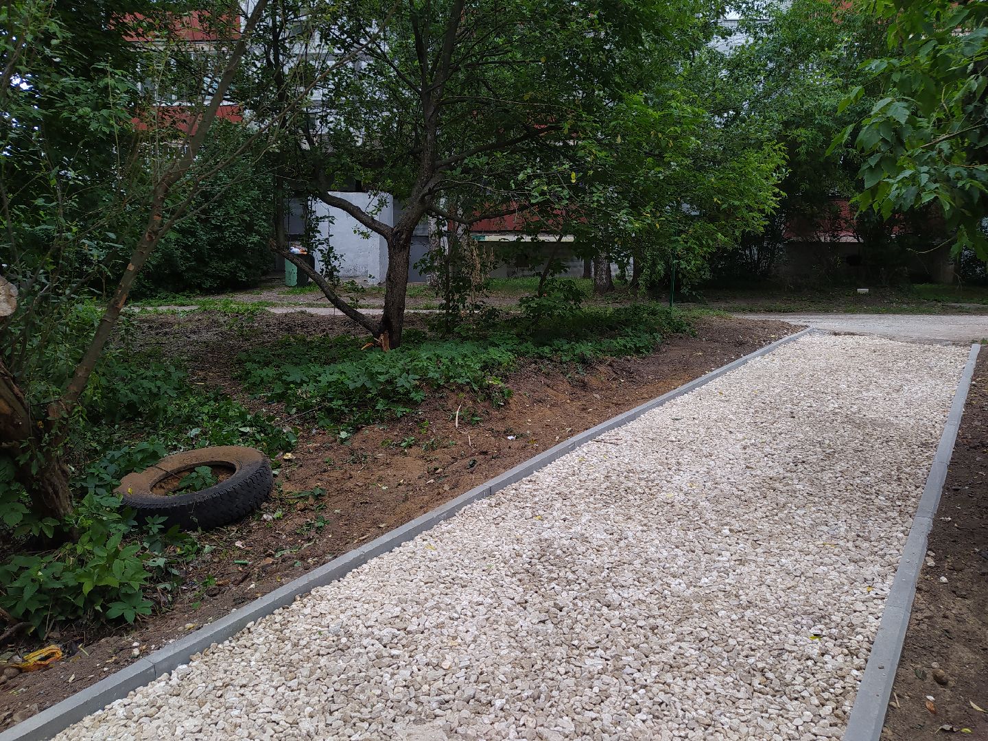 Дедовск, тропинка, пруд