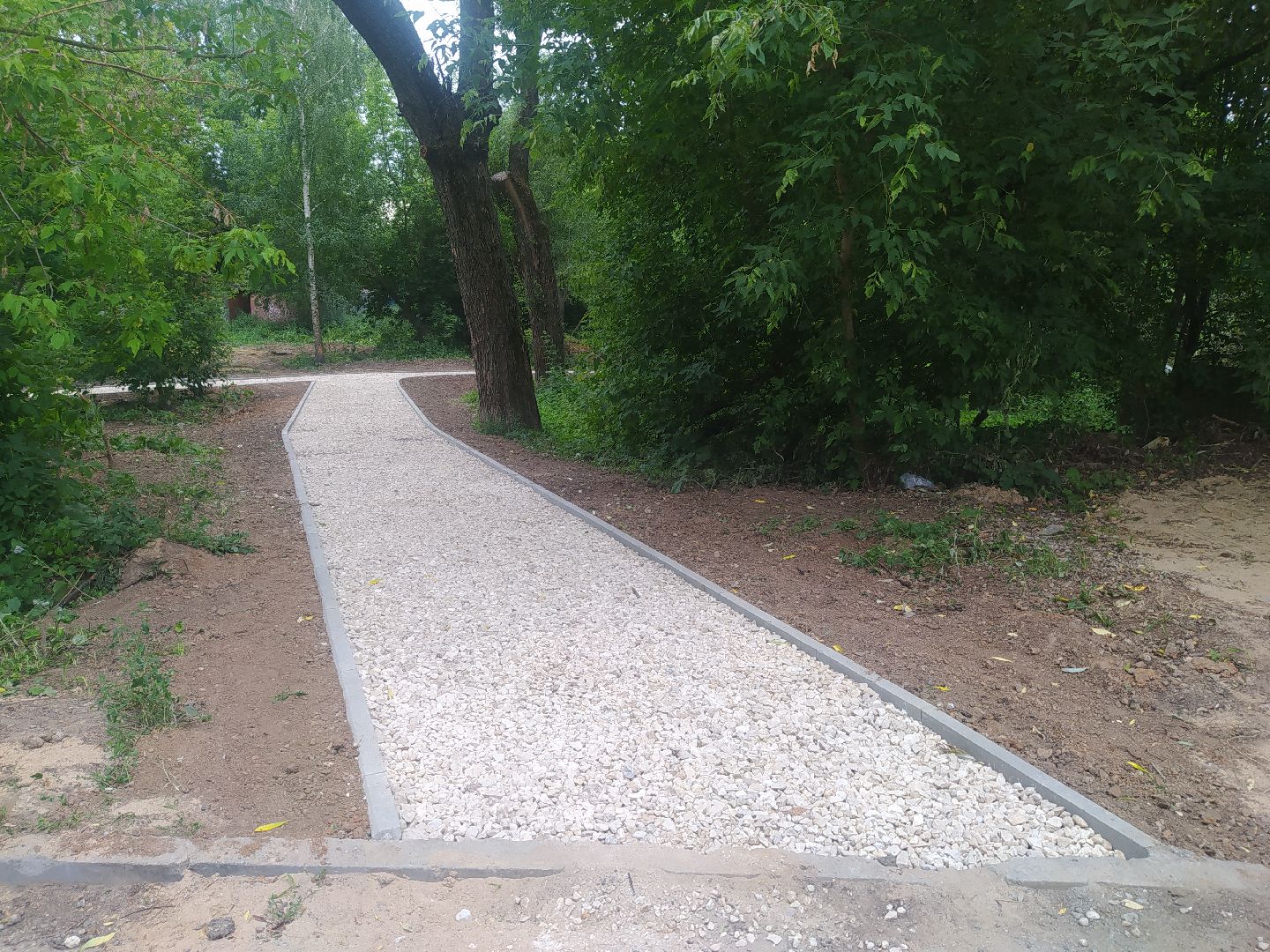 Дедовск, тропинка, пруд