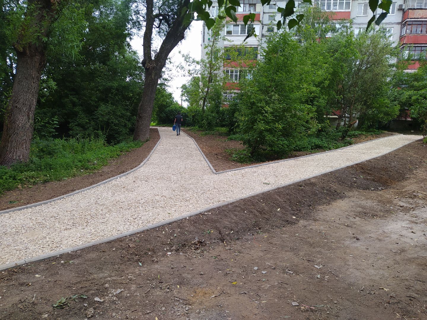 Дедовск, тропинка, пруд