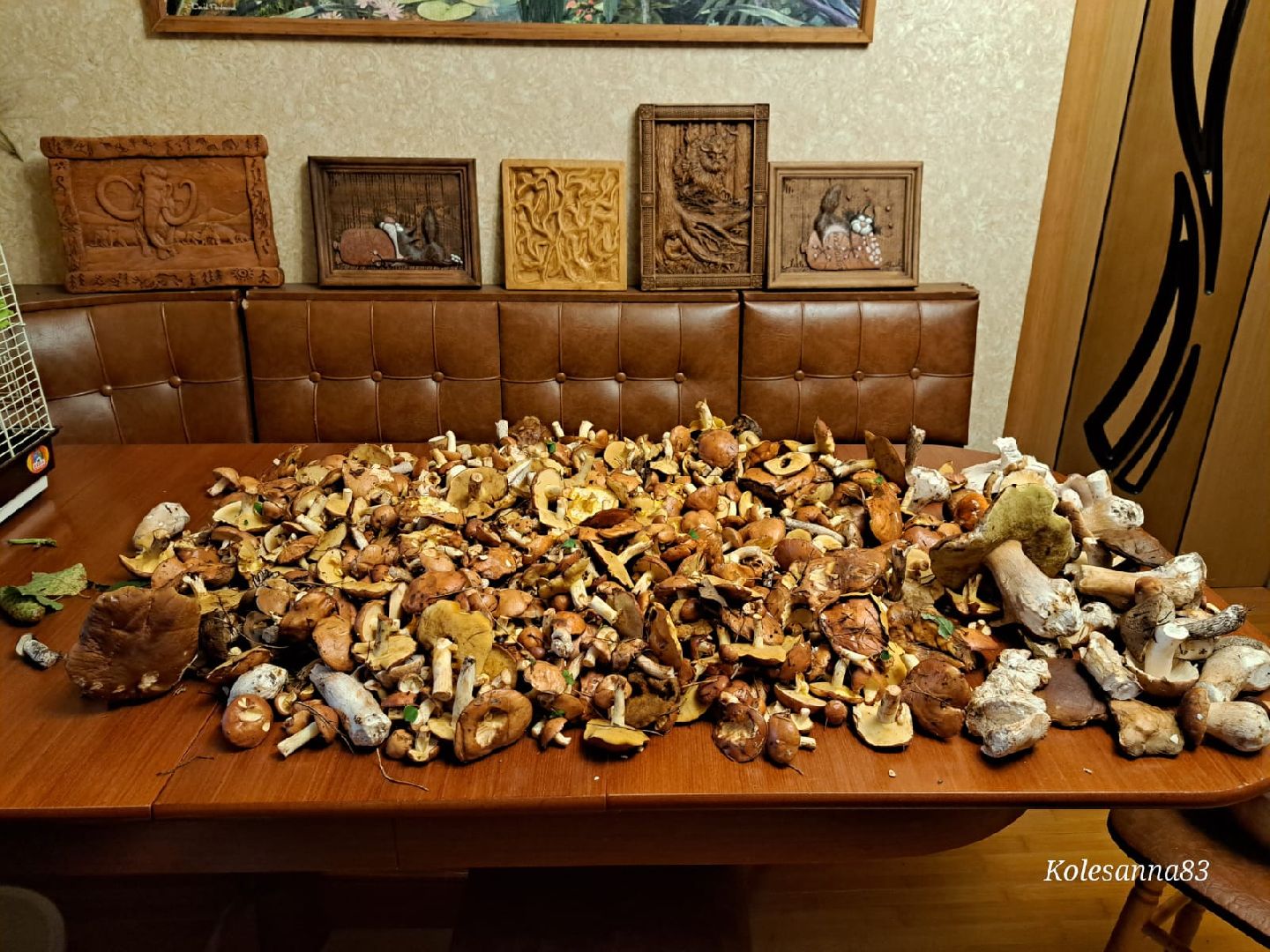 Одинцово, Тихая охота, Грибы, Экология