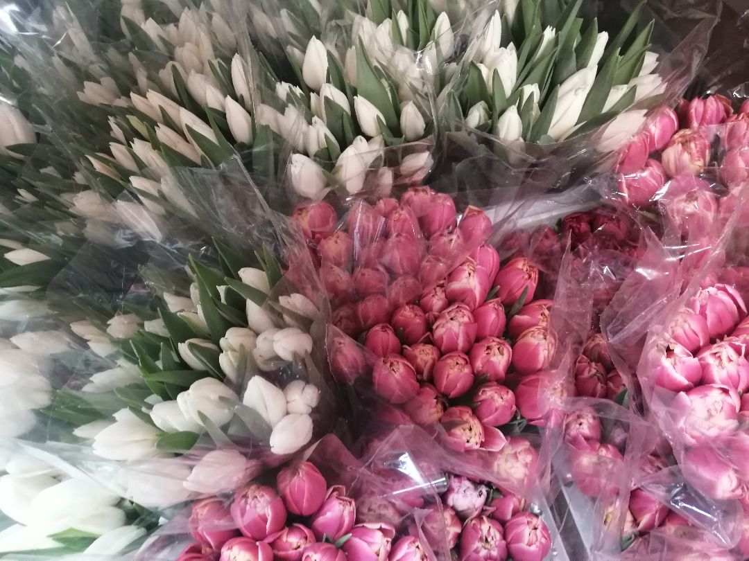 цветы, Протвино, 8 Марта