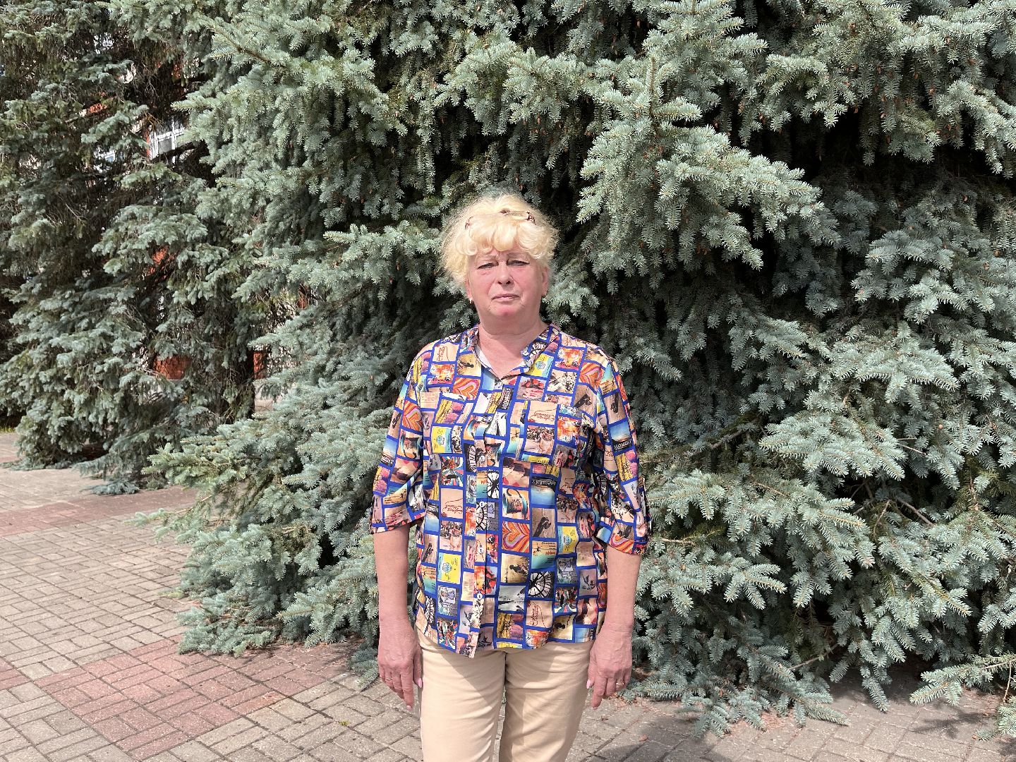 Шаховская, ТИК, Избирательная комиссия