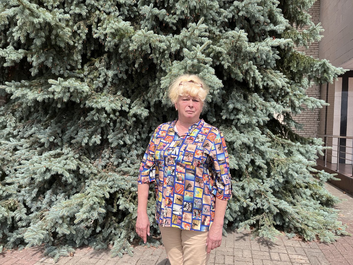 Шаховская, ТИК, Избирательная комиссия