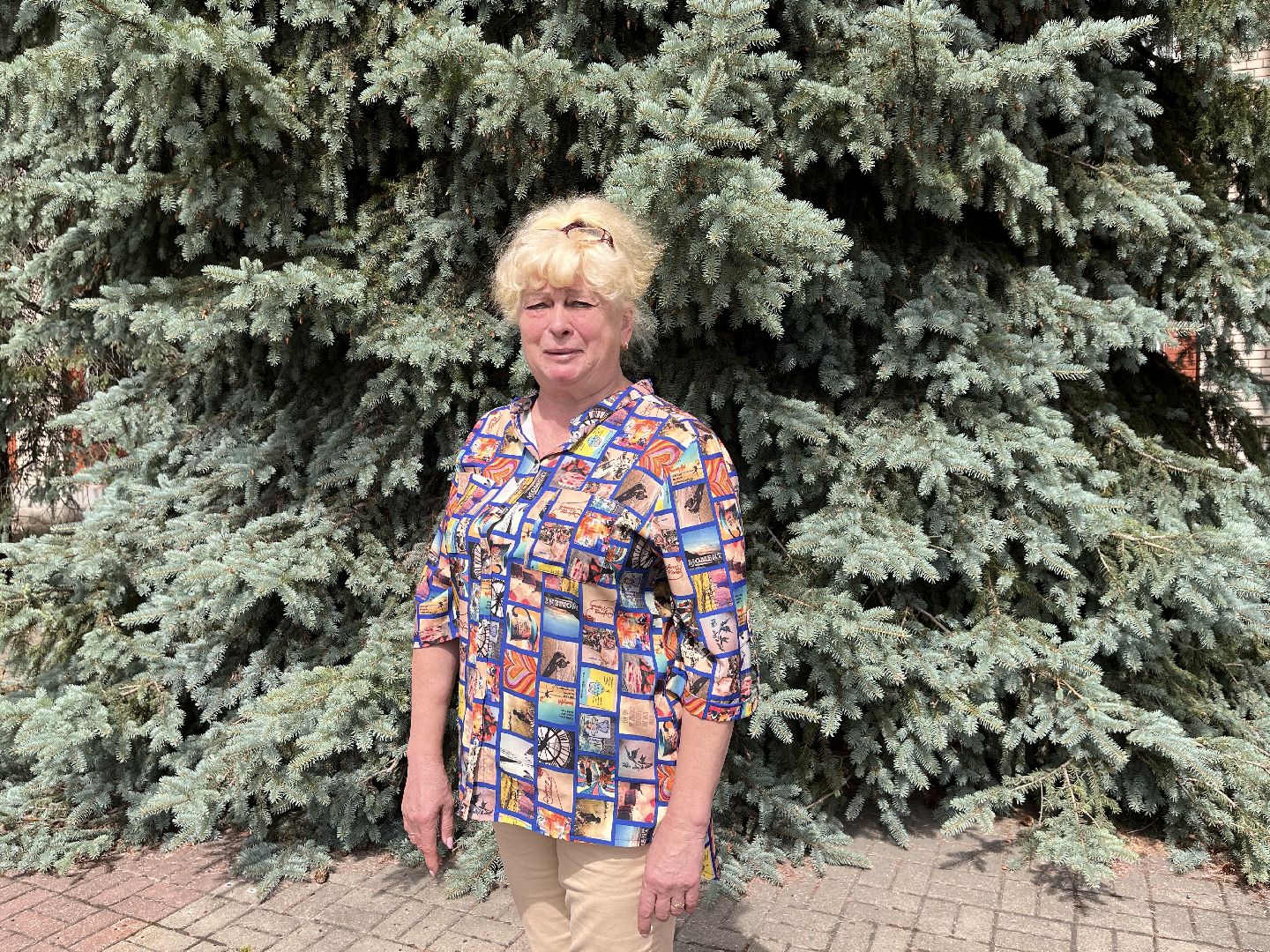 Шаховская, ТИК, Избирательная комиссия