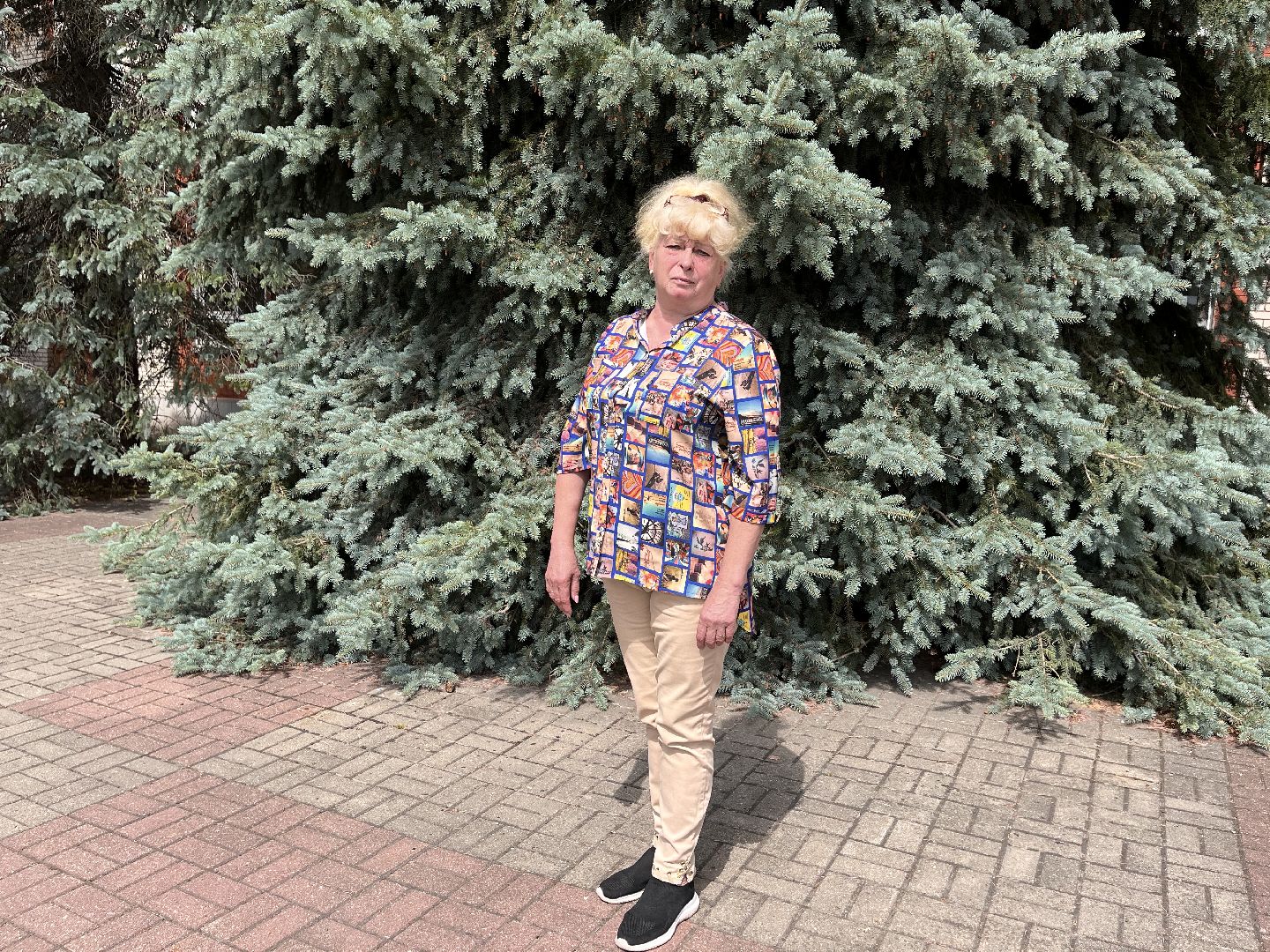 Шаховская, ТИК, Избирательная комиссия