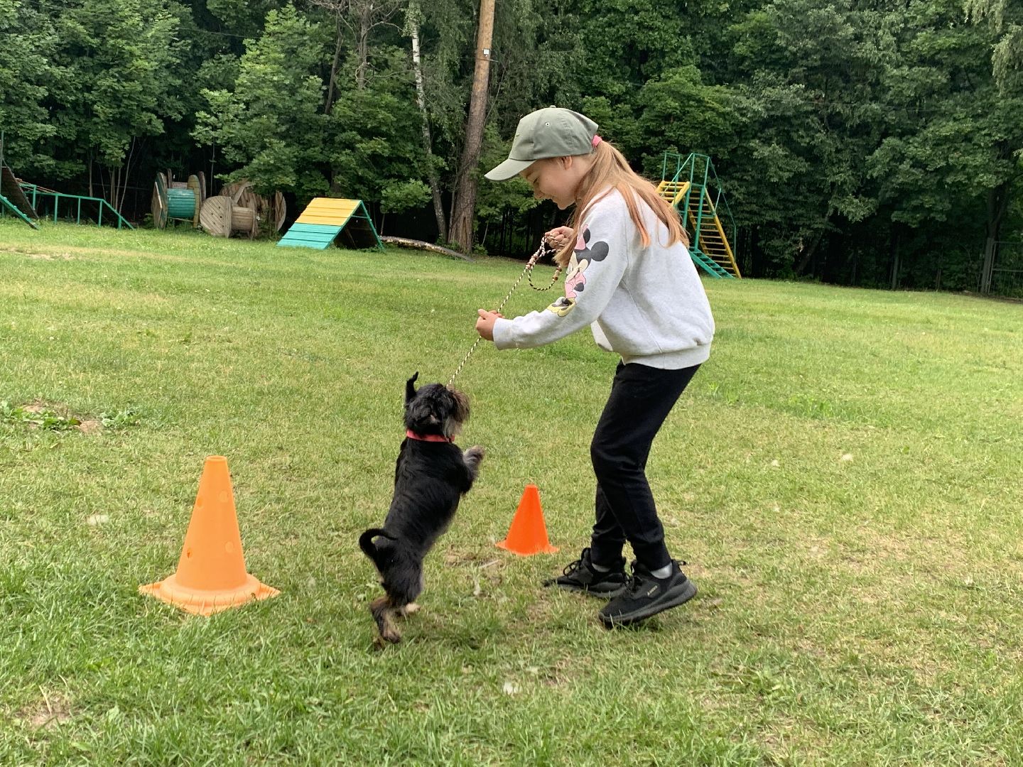Балашиха, Подмосковье, школа юного кинолога, РГУНХ имени В.И. Вернадского