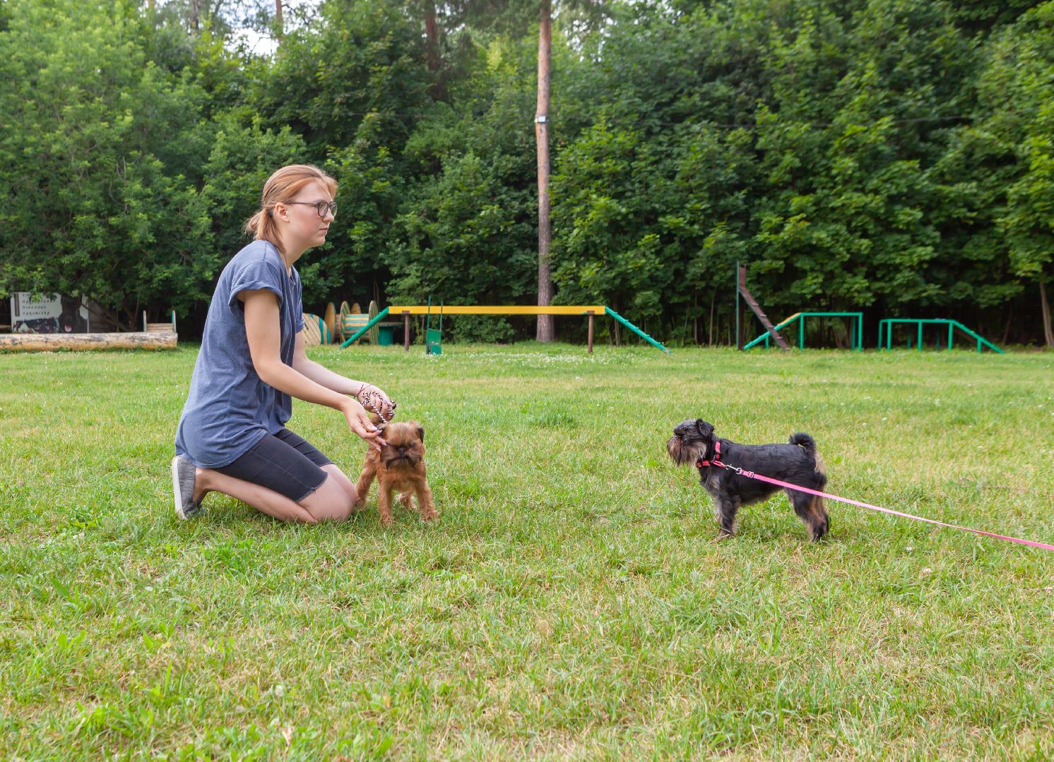 Балашиха, Подмосковье, школа юного кинолога, РГУНХ имени В.И. Вернадского