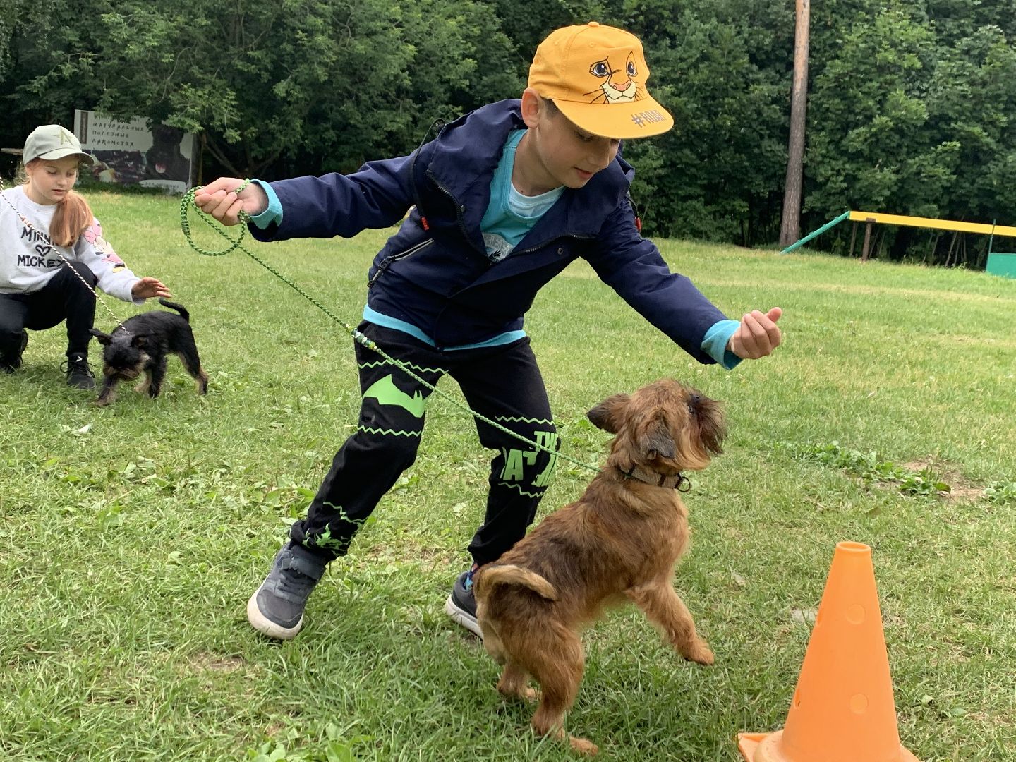 Балашиха, Подмосковье, школа юного кинолога, РГУНХ имени В.И. Вернадского