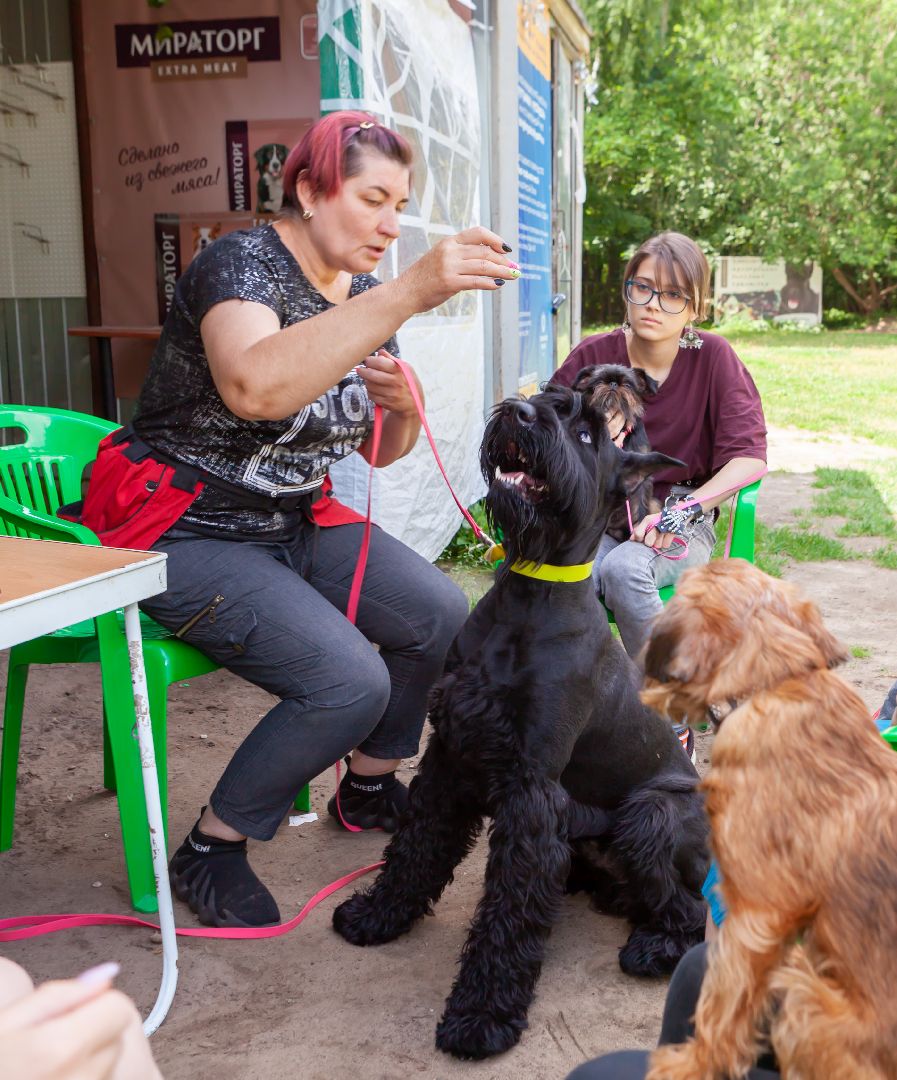 Балашиха, Подмосковье, школа юного кинолога, РГУНХ имени В.И. Вернадского