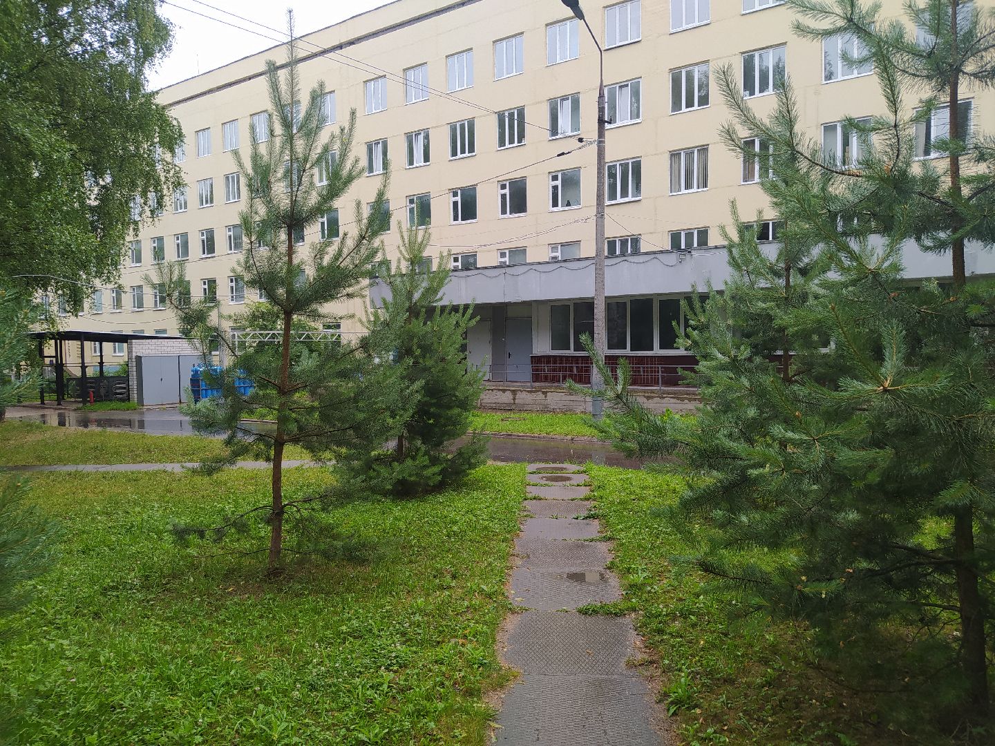 Дедовск, больница, травмпункт