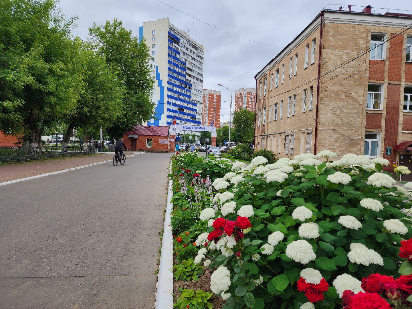 Подольск, благоустройство, цветы, красота, эстетика, ПОКБ, клумба