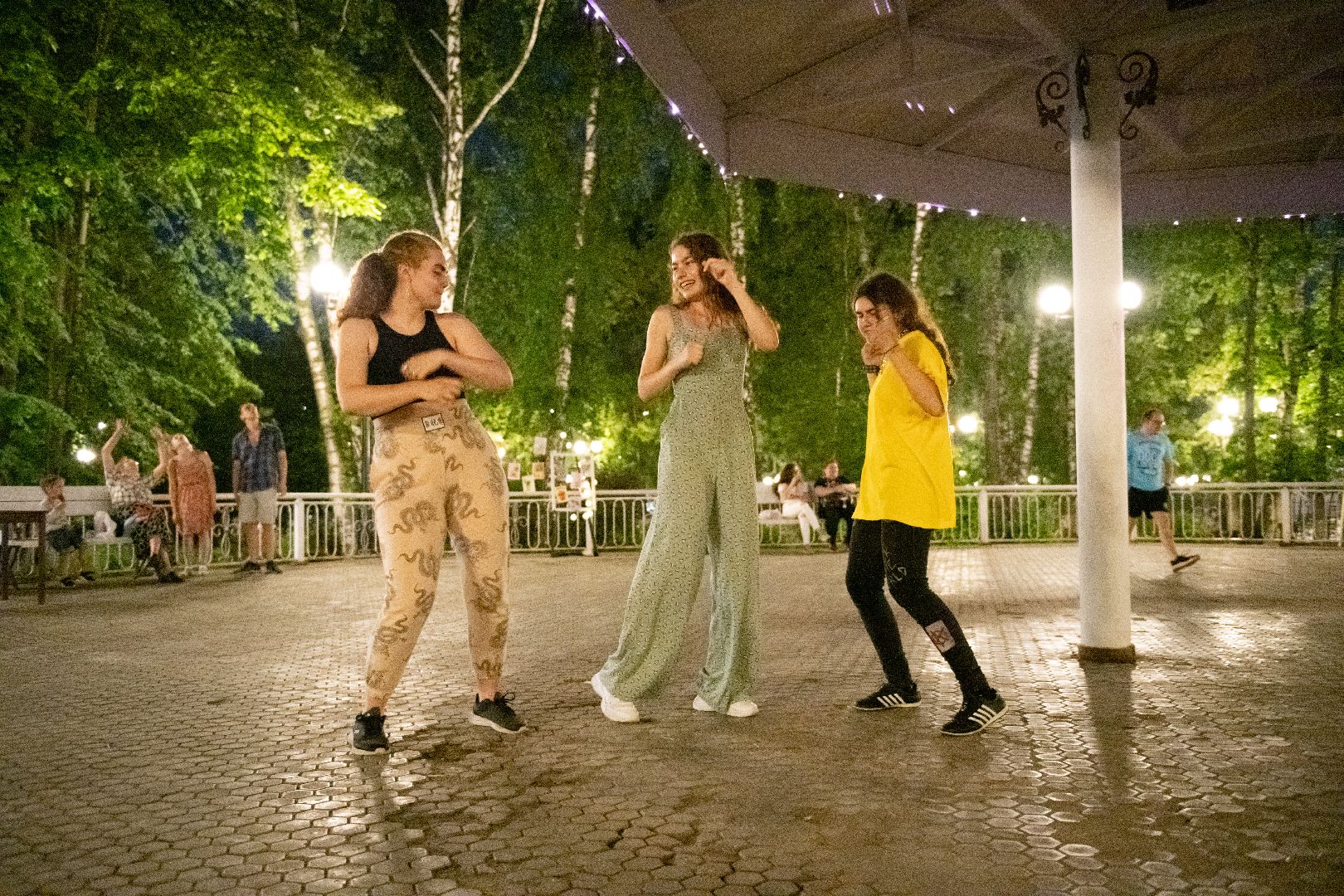 лыткарино, ночь в парке, анонс