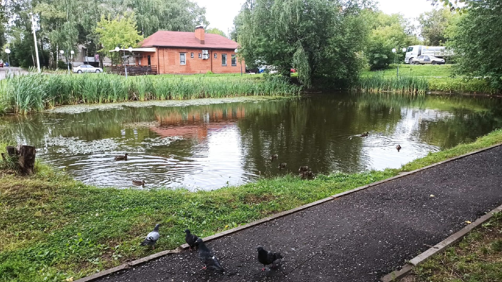 доброе дело, путешестия,