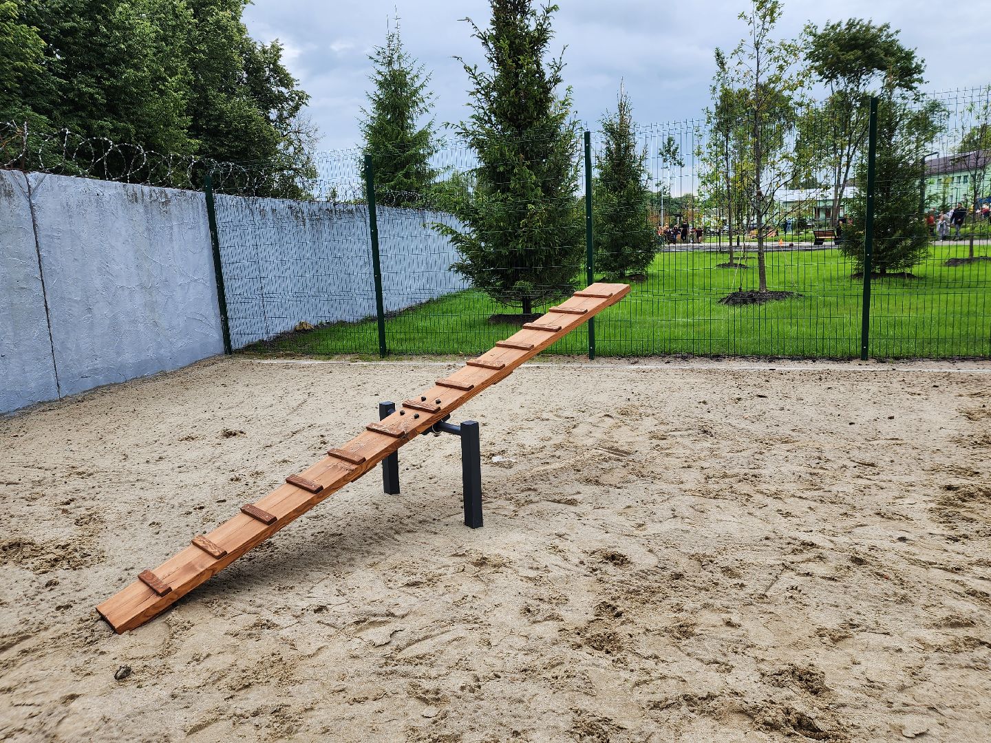 Павловский Посад, городской округ Павловский Посад, собаки, животные, люди, благоустройство, Дубрава, парк