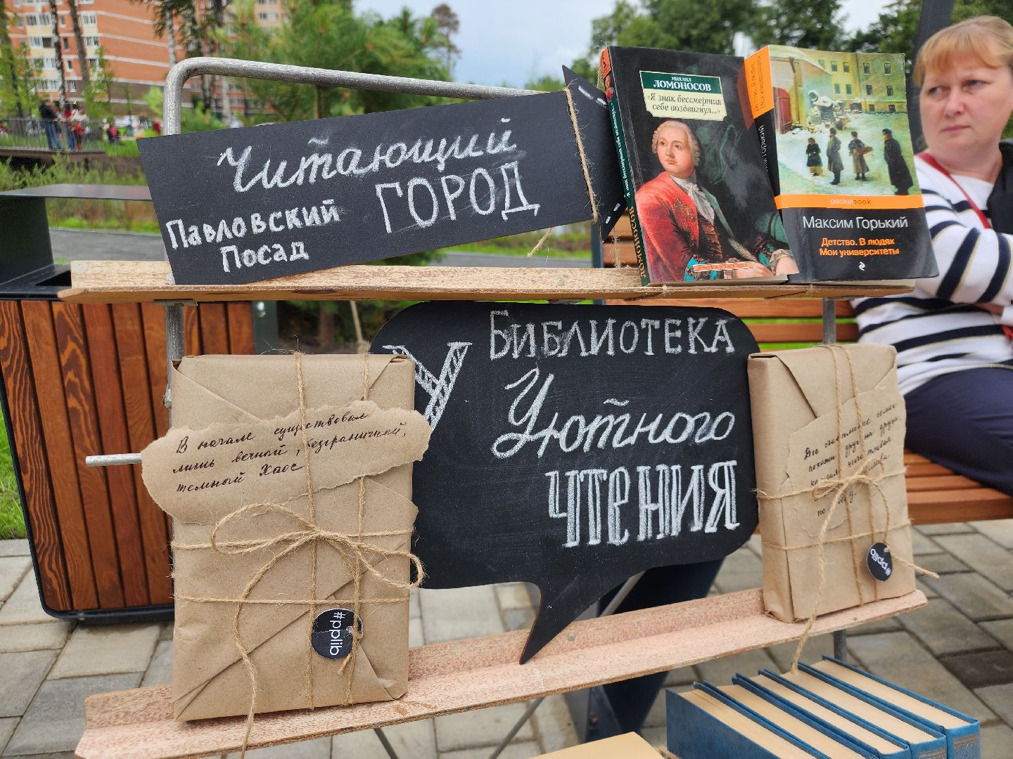 Павловский Посад, городской округ Павловский Посад, библиотека, книги, веранда, Дубрава, парк, природа