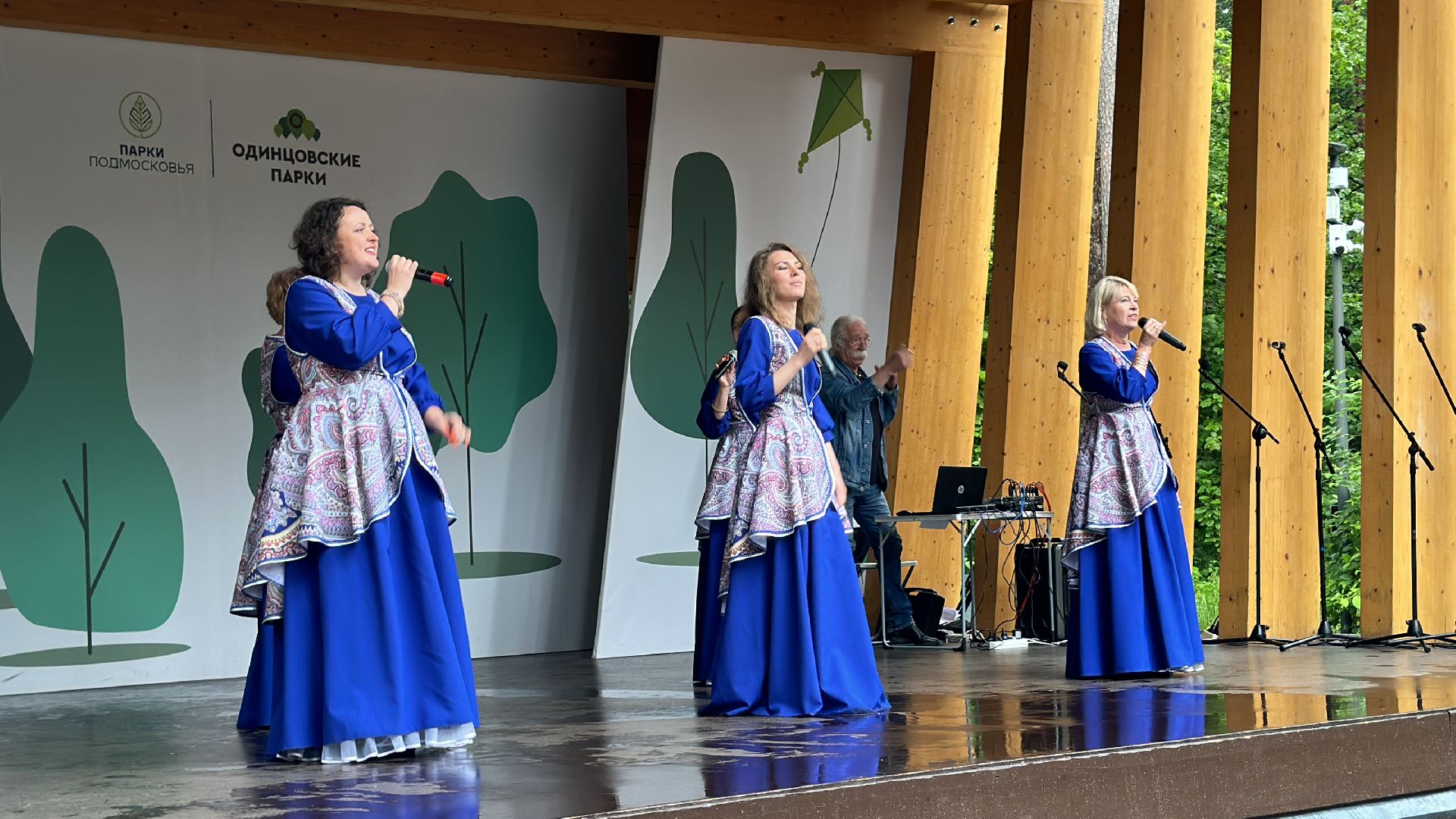 Одинцово, Этнофест, Библиотеки, Подмосковье, Раздолье