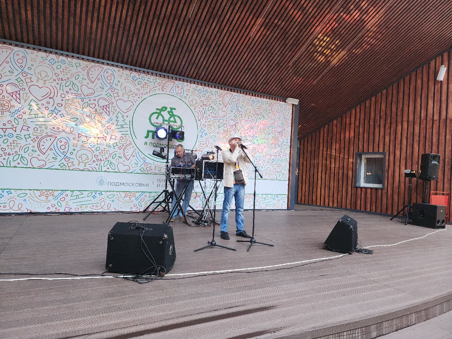 Подольск, ночь в парке, лето в Подмосковье, отдых