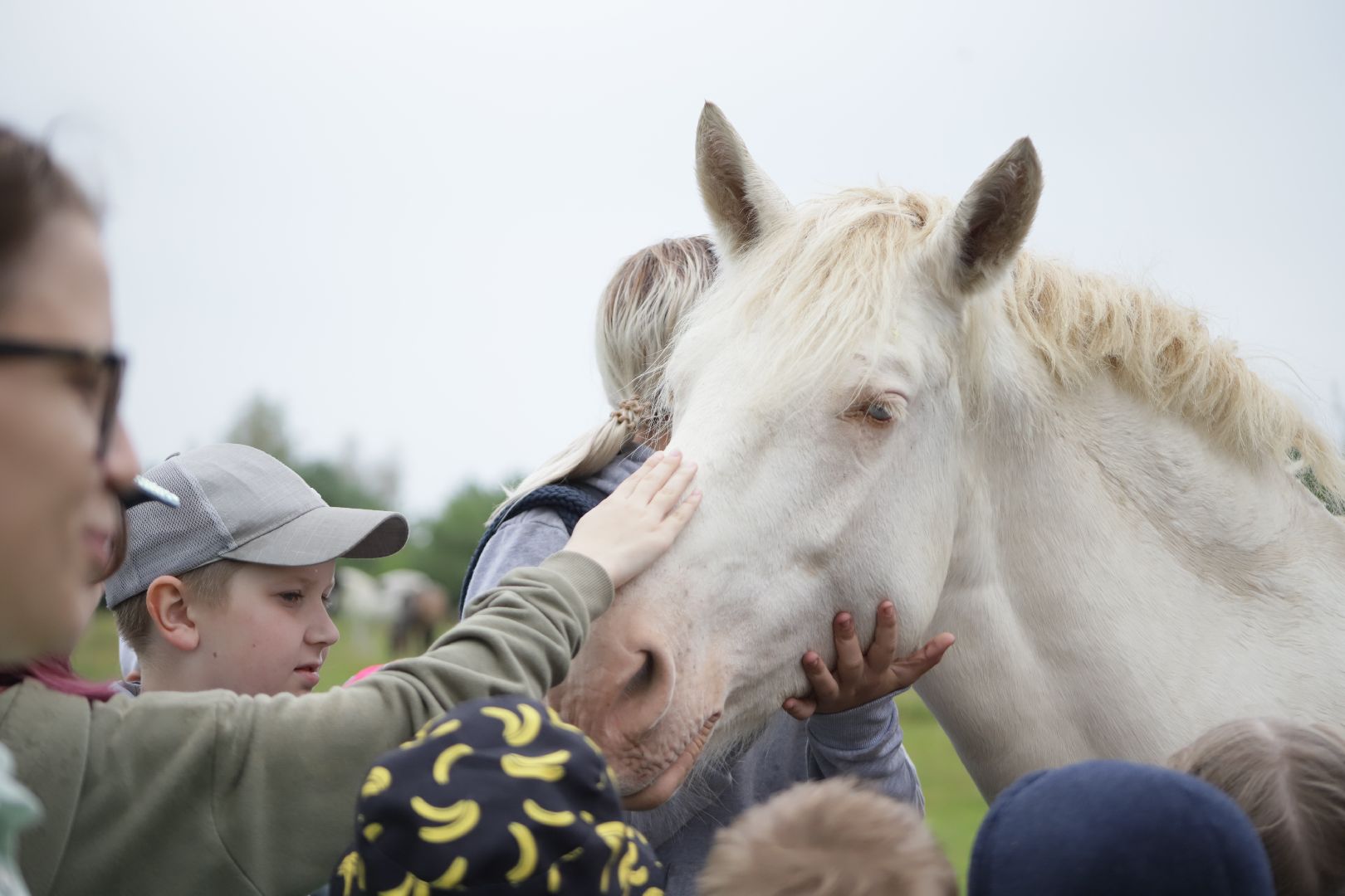 #БольшаяШатура#КМЦ#Варюковка#Орленок#конюшня#дети