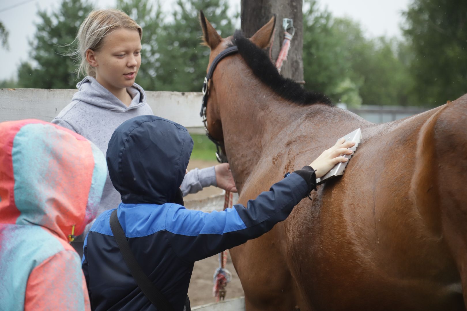 #БольшаяШатура#КМЦ#Варюковка#Орленок#конюшня#дети