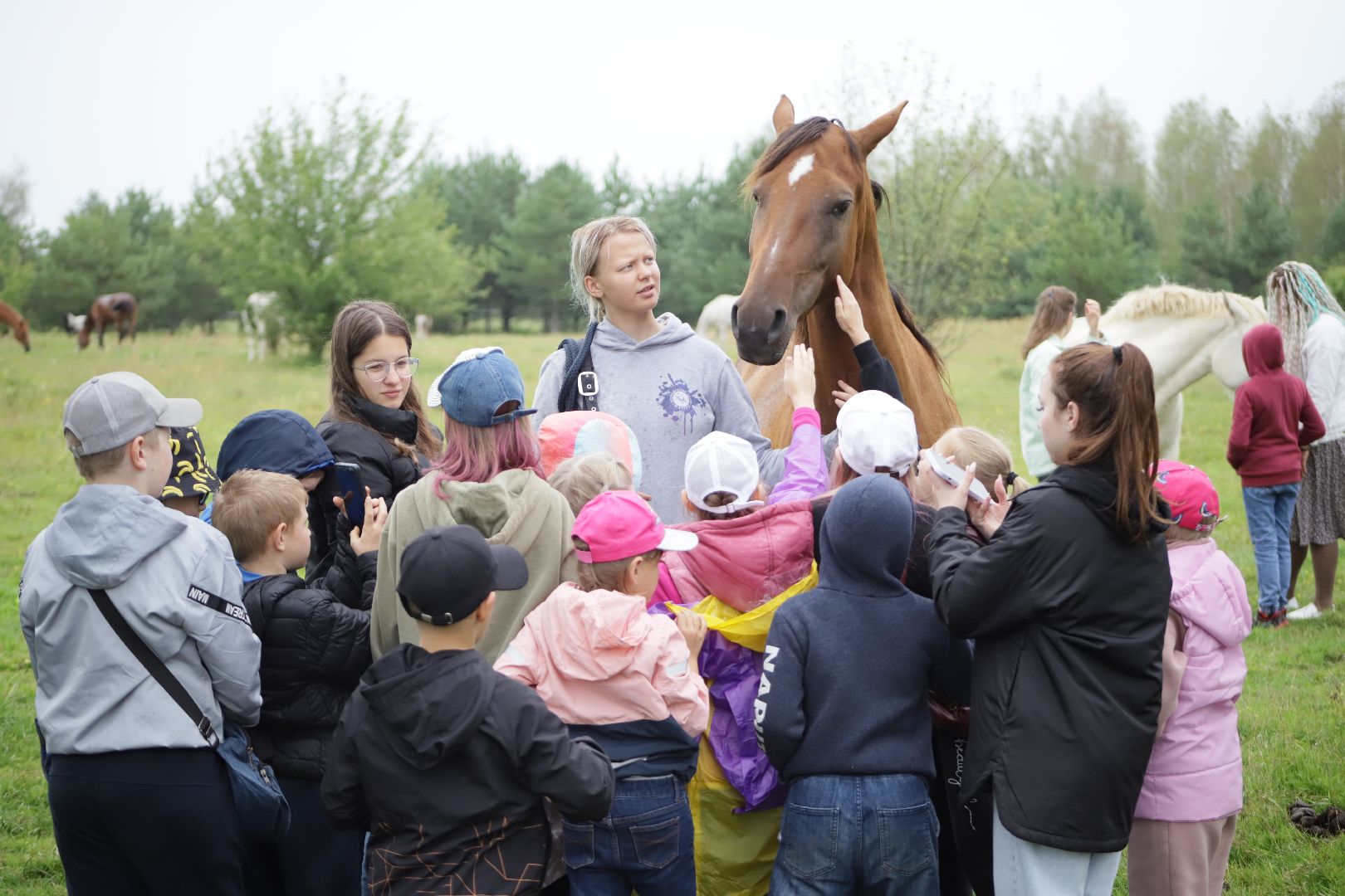 #БольшаяШатура#КМЦ#Варюковка#Орленок#конюшня#дети