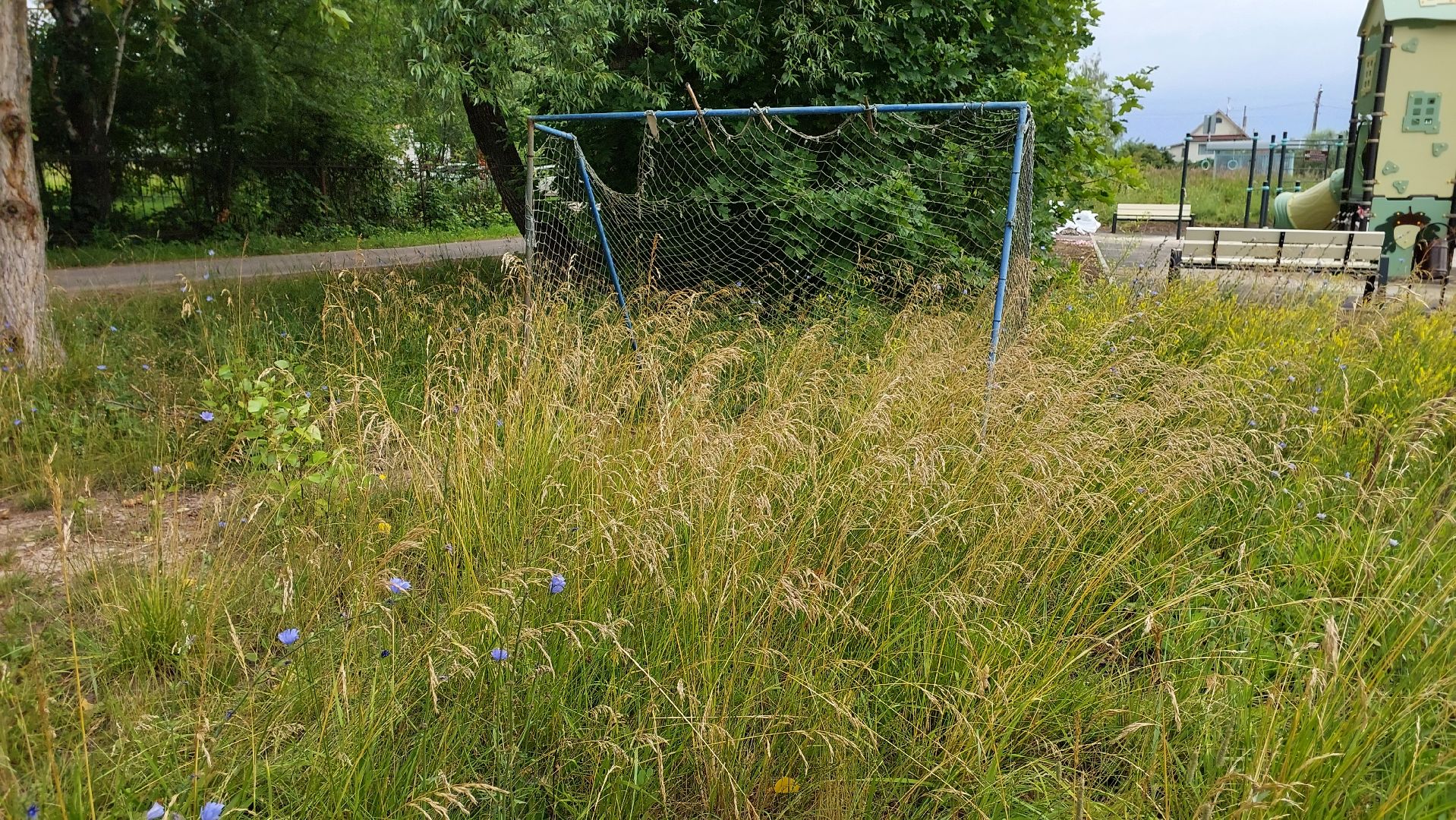 доброе дело, дети, двор, детский спорт, серпухов, глазово,