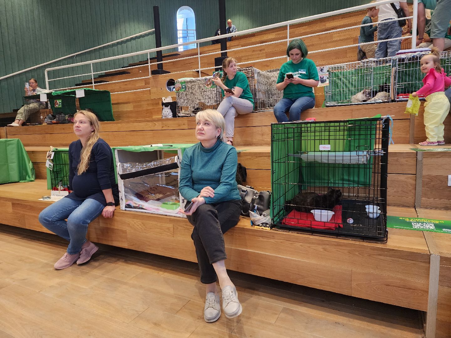 волонтеры, доброе дело,