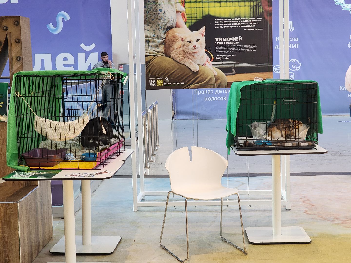 волонтеры, доброе дело,