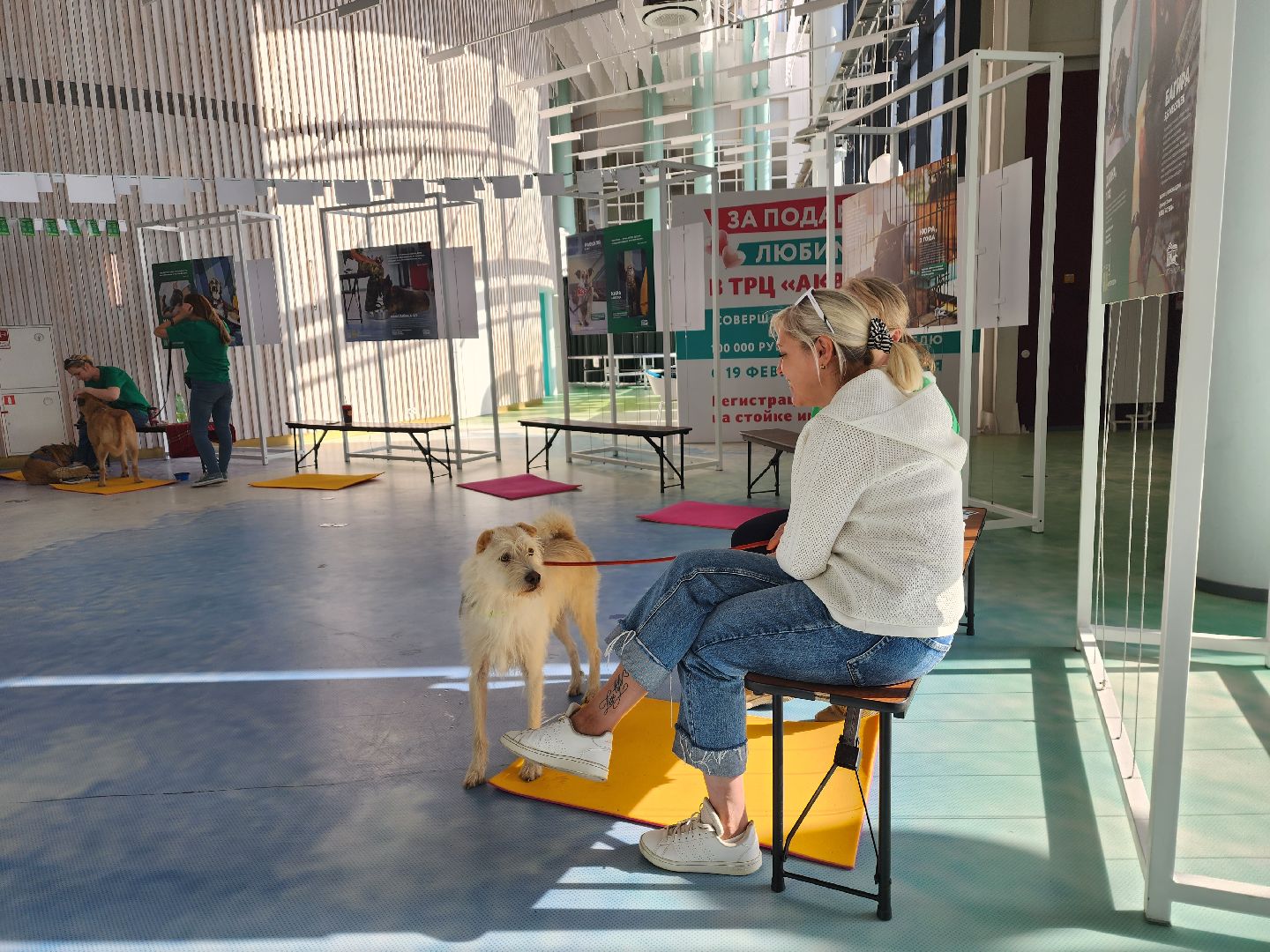 волонтеры, доброе дело,