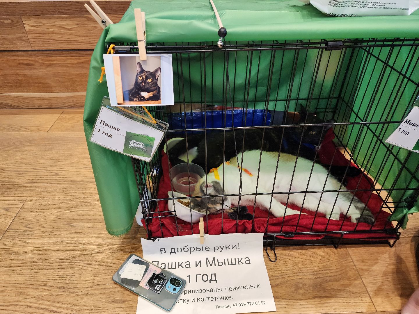 волонтеры, доброе дело,