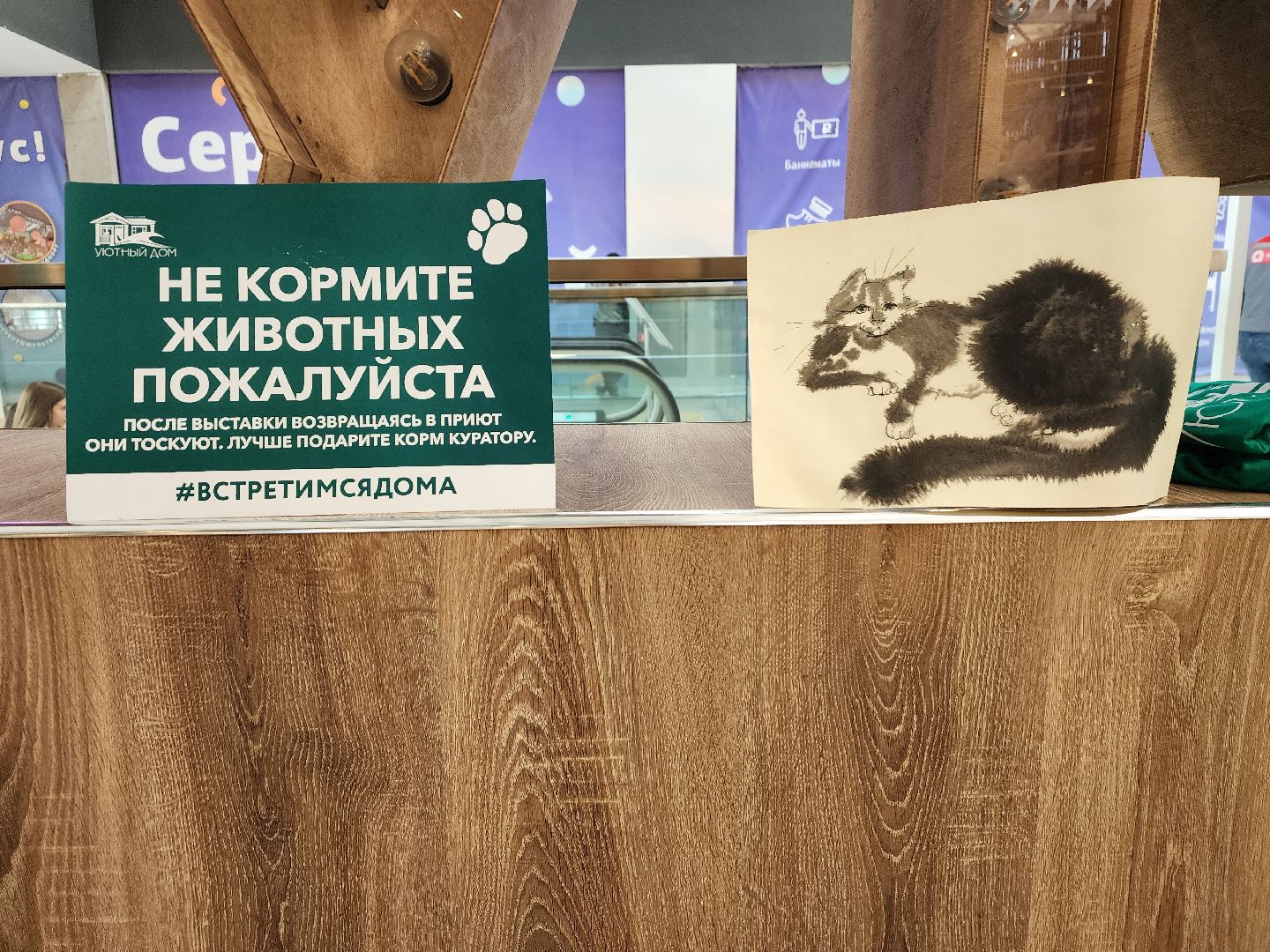 волонтеры, доброе дело,