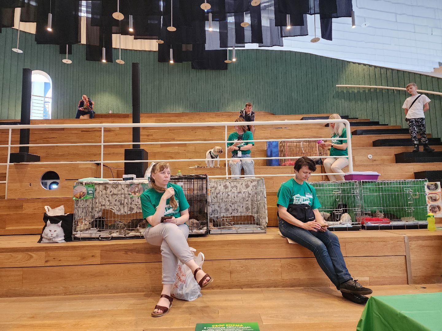 волонтеры, доброе дело,