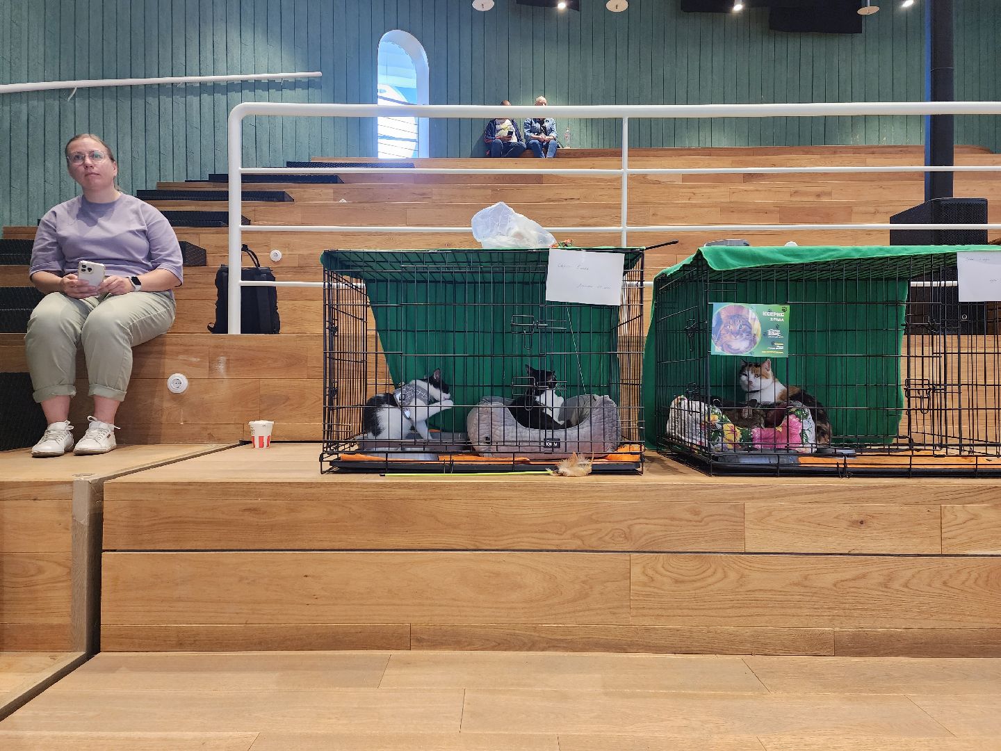 волонтеры, доброе дело,