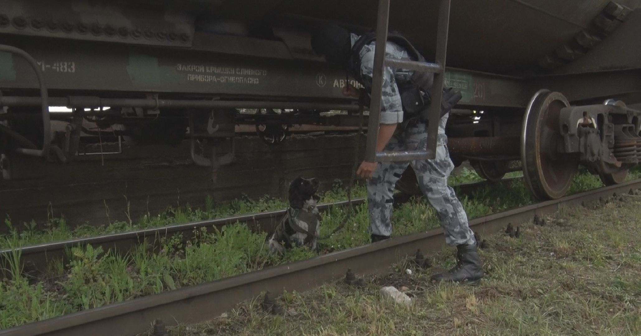 Антитеррор, учения, аэропорт Домодедово