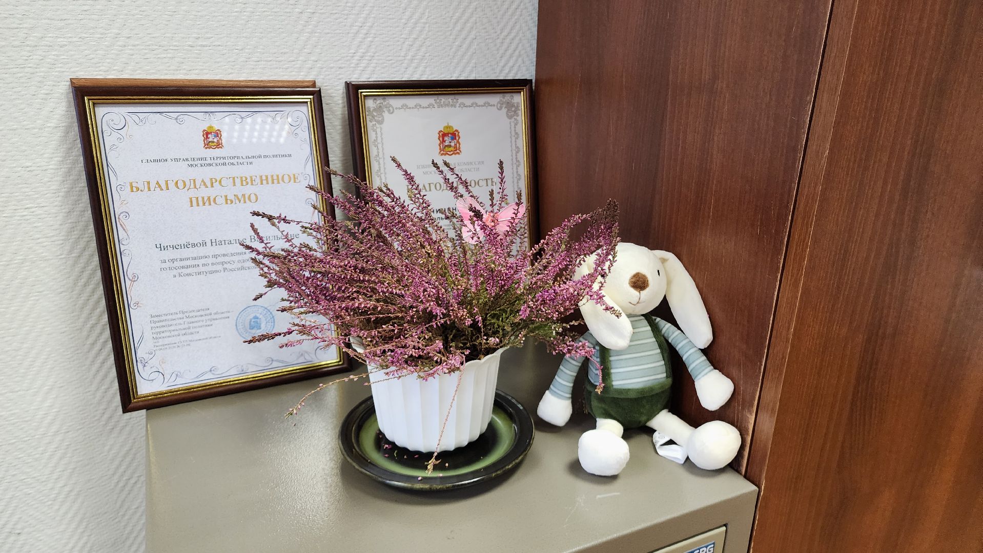 выборы, люди, территориально-избирательная комиссия, ТИК,