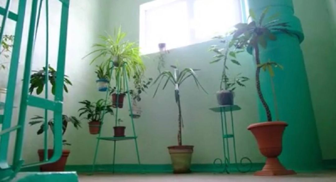 Солнечногорск, СВО