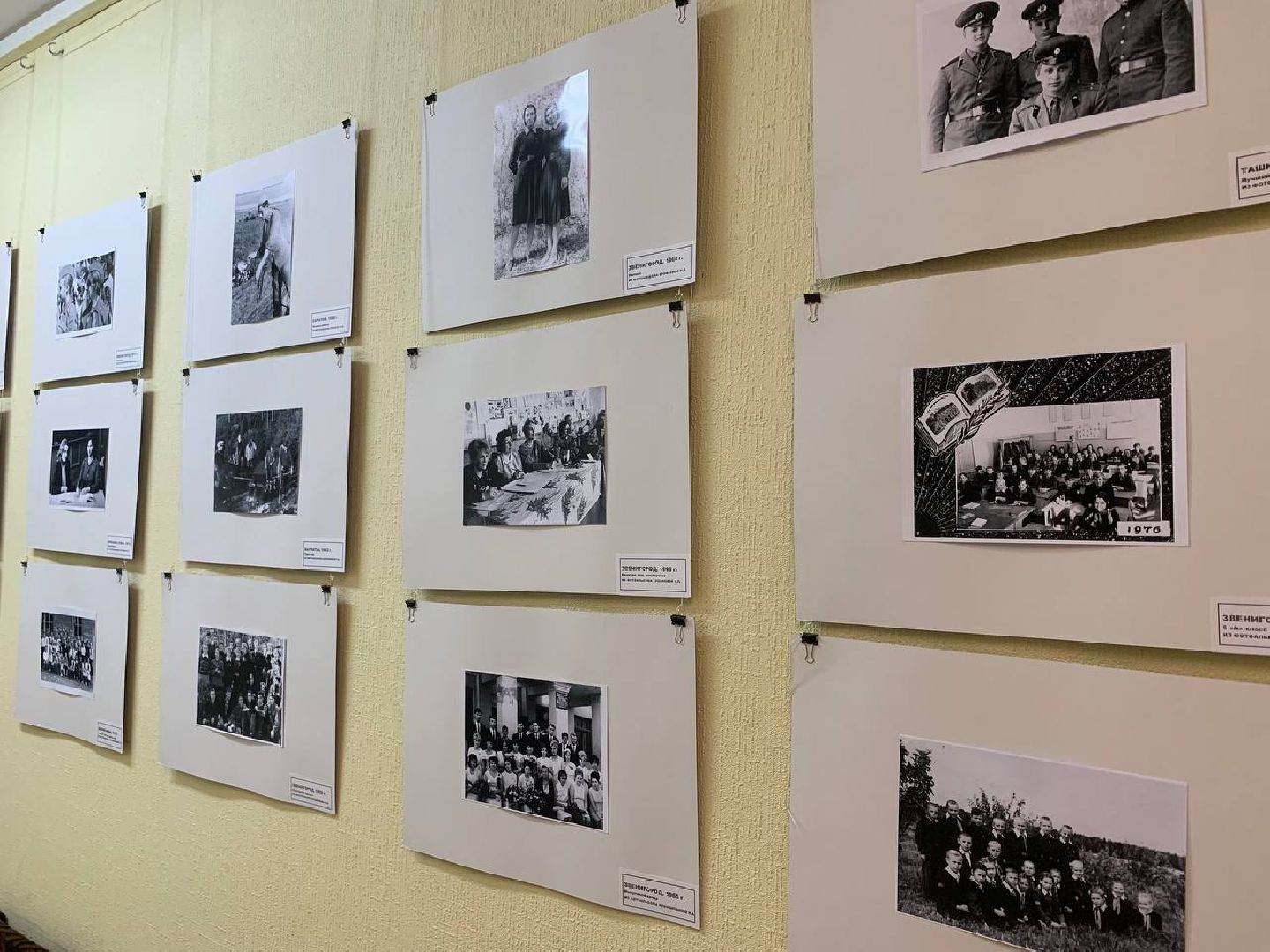 Звенигород, ветеранская организация, выставка