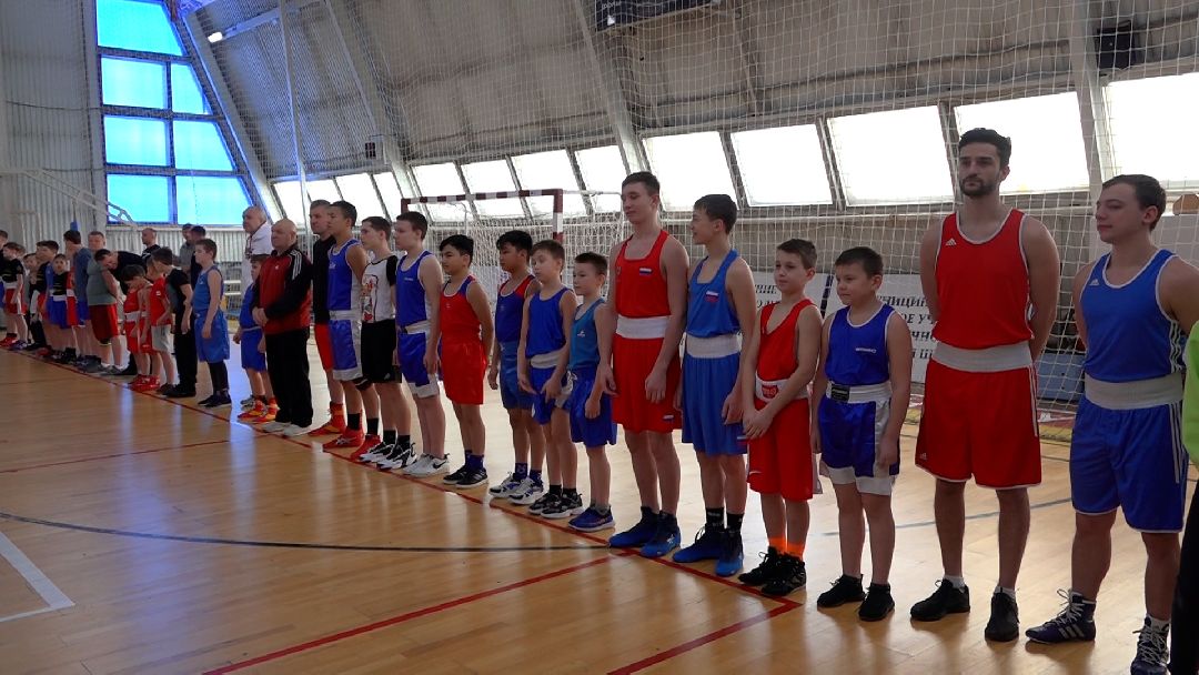 Солнечногорск, спорт