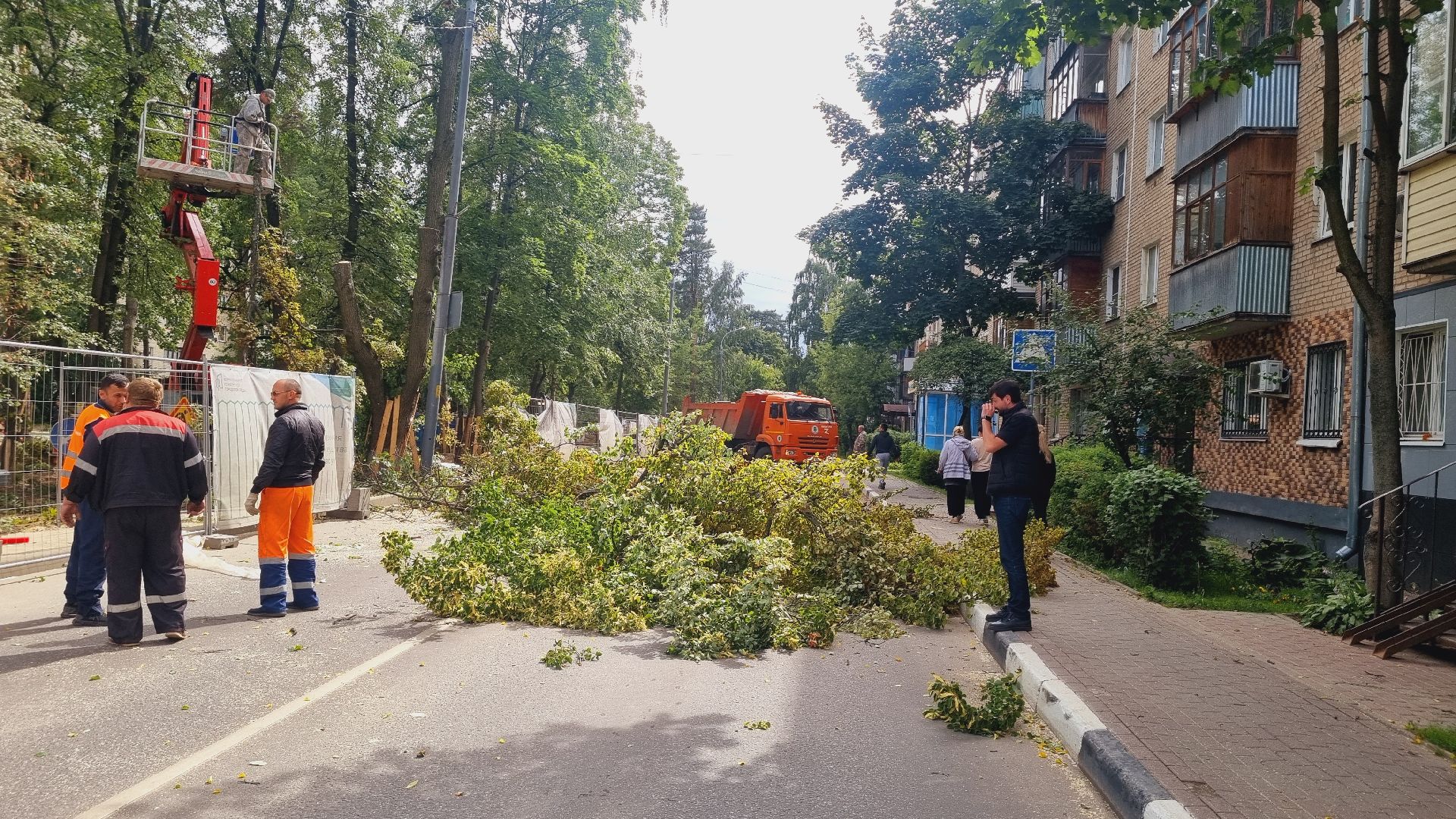 Подмосковье, Городской округ Пушкинский, благоустройство
