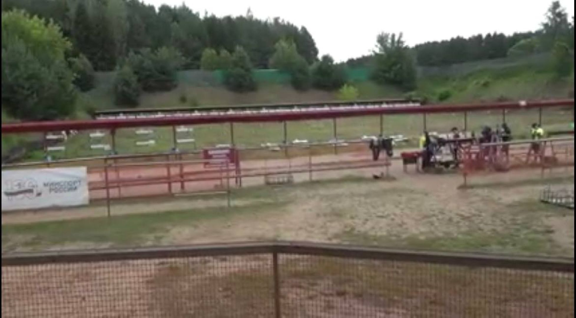 Подмосковье, Городской округ Пушкинский, спорт