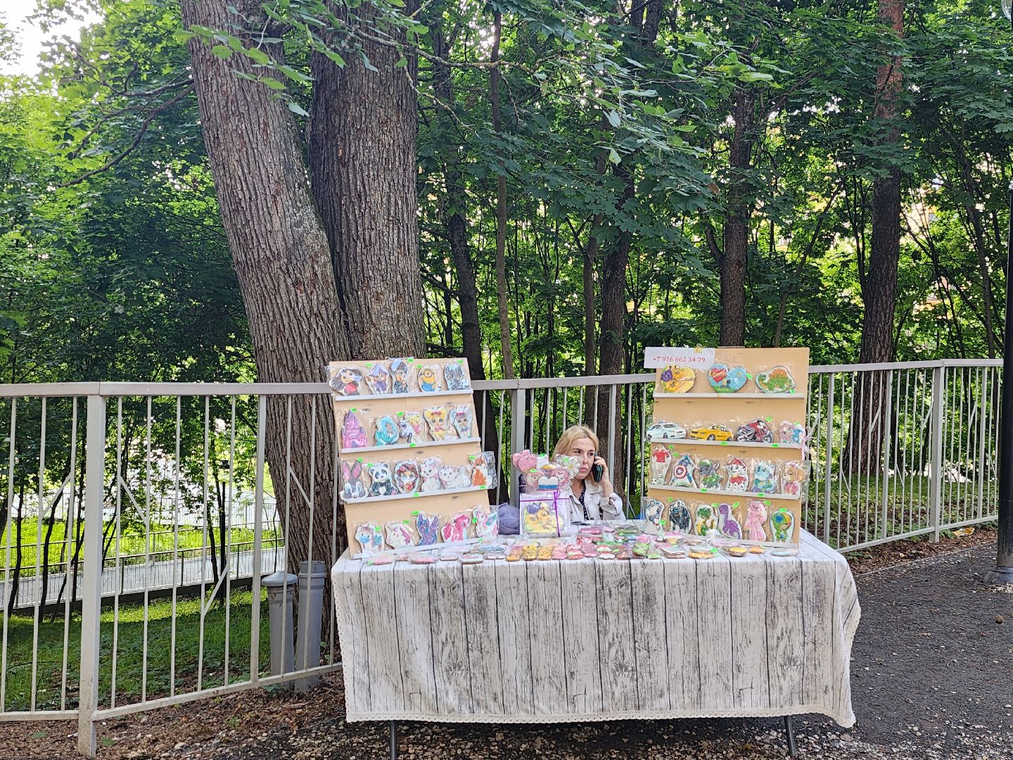 Звенигорода, городской парк, досуг, культура